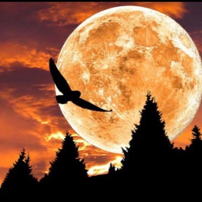 9Ocdb7Jeuxcifvh's profile picture. チャンネル登録よろしく