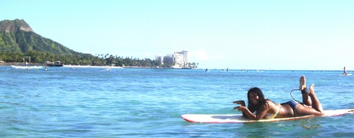 1220420's profile picture. lover