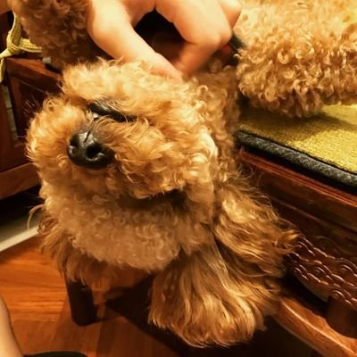 Ann_zhzh's profile picture. 