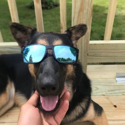 greindin's profile picture. lost cause