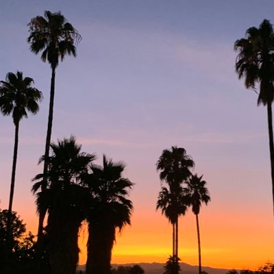 swagbee10's profile picture. 