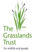 The Grasslands Trust was the only UK charity working exclusively on our most threatened habitats - wildlife-rich grasslands. It fell in 2012. This is its ghost.