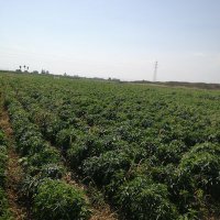 Ömer Türkseven (@mer55156736) 's Twitter Profile