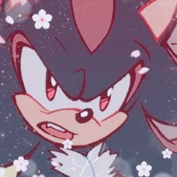 The name is Shadow, Shadow the Hedgehog I'm the Ultimate life form ❤️ Taken ❤️ Main account @gamer_girl1993 (Female) #sonicrp