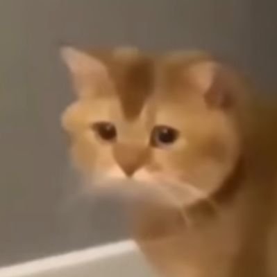 IAmBlue08150563's profile picture. I_Am_Human