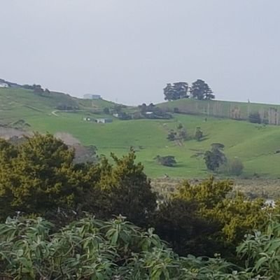 PondElp's profile picture. 