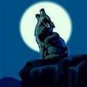 Paul Wolfe - @nppvtdet - Twitter