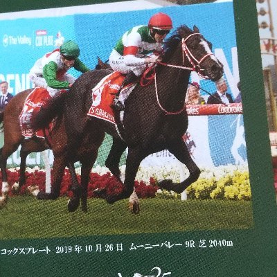 競馬・競輪・オートが大好き‼️
Tipstarもやってます😆679、693、021フレンド登録お願いいたします🙇‍♂️