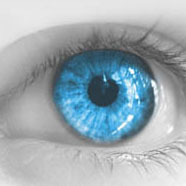 eyetechoptical's profile picture. Completely independent of any instrument manufacturer with no interest in selling new instruments so we will always aim to mend any instrument worth repairing.