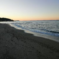 Erol (@erol33875982) 's Twitter Profile