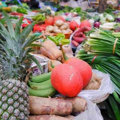 kadainessaku's profile picture. 鹿児島大学農学部 #熱帯作物学研究室（#熱作）
Kagoshima Univ. Tropical Crop Science Lab.🌾🌶️🍠☕🌵🌽 

学生が交代で投稿しており、所属組織の見解を表すものではありません。
#春から鹿大 #国際食料資源学特別コース
