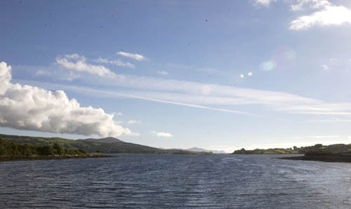 kellyharb's profile picture. 