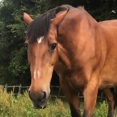 qtr861's profile picture. 