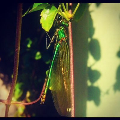 Damself49095798's profile picture. 