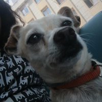 Bedirhan Çamoğlu (@bedoliza) Twitter profile photo