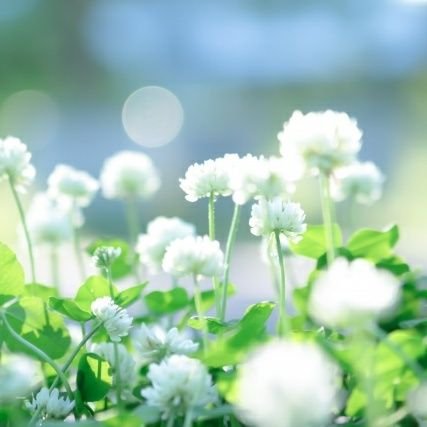 intestinalflor1's profile picture. 大手乳酸菌飲料メーカーの元研究開発員✨
自他ともに認める便秘知らずでしたが、うつ病や出産でひどい便秘に・・・
そこで・・腸のスペシャリストとして自身の知識をフル活用！→腸も体も心も元気です✨
腸のメンテナンスって心身の健康にかなり大切だと思っています☺️
元研究開発員ならではの腸美人になる秘訣を発信していきます✨