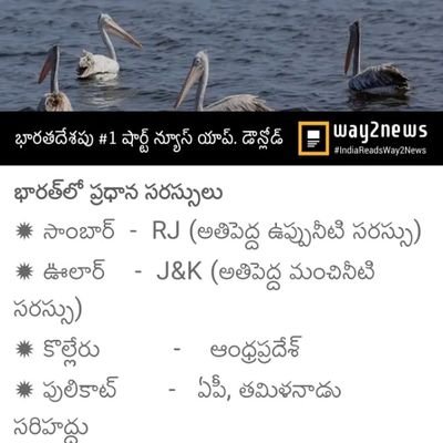 raju_janmala's profile picture. hi