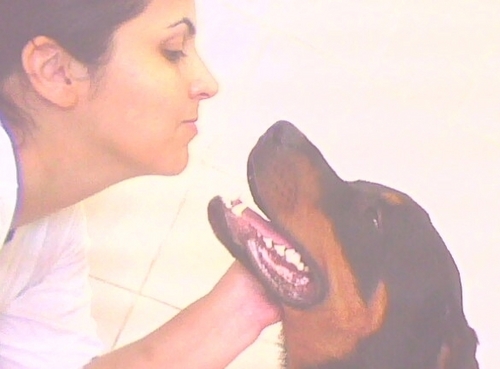 ETiFreitas's profile picture. 