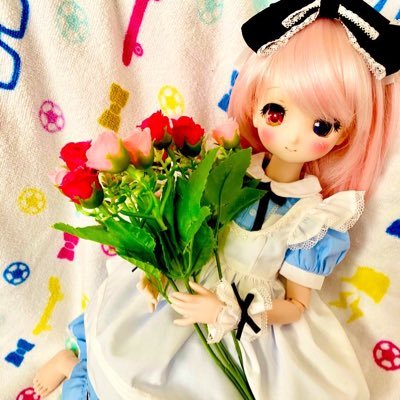 家にドールが6人(アゾン3,MDD2,DDdy1)います。元ヅ大