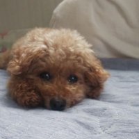 eight (@asconjugal) 's Twitter Profile