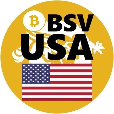 BitcoinSV Team USA