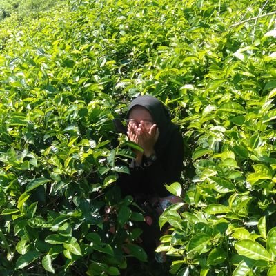 Novitaaw5's profile picture. anaknya ibu jum