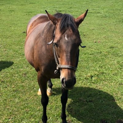 tamikenta's profile picture. 