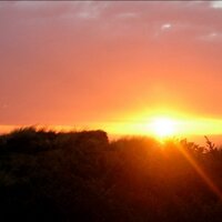 Jelle van der Have (@jellevanderhave) 's Twitter Profile