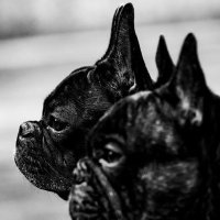 Doña Chuma (@vonlandro) 's Twitter Profile Photo