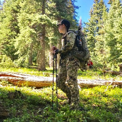 chelsealeho's profile picture. 