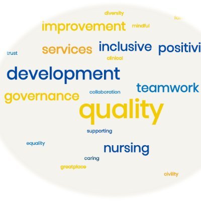 Supporting Clinical Governance and Corporate Nursing with work streams &  projects  which focus on quality & service development at UHMBT