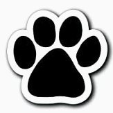 Orchard Hollow Elementary (@orchardhollow) 's Twitter Profile