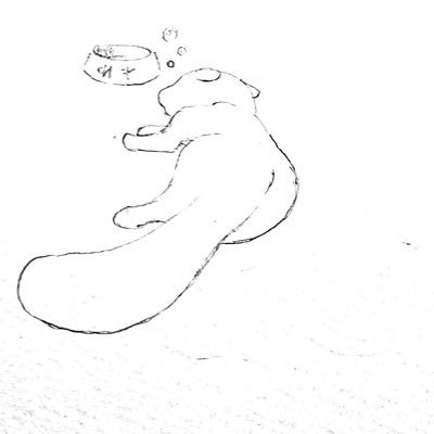 雲煮さんのプロフィール画像