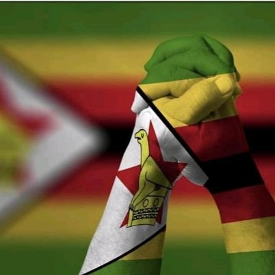 Proudly Zimbabwean!!!