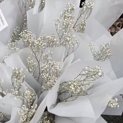 mpta47194122's profile picture. 