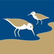 Space for Shorebirds Northumberland(@ForShorebirds) 's Twitter Profile Photo