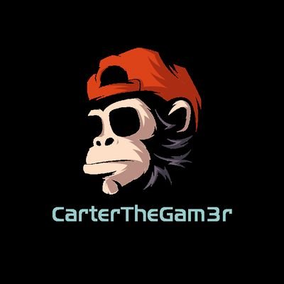 twitch affiliate / Part-time streamer / Hustler / Fun Guy