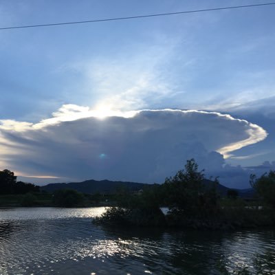 65_WM_WM_WM_Y's profile picture. 2024年10月から鉄復帰🔰 1980〜2000年代くらいまでの貨物が主食。