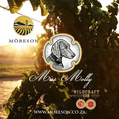 Môreson is 🏡 to:
Miss Molly 🍾🍷🐕
Môreson 🍾🍷-🥇for #Chardonnay
@wildcraftgin🐒🤴
Online Sales Only.
#moresonwines #missmollywines #franschhoek #gin