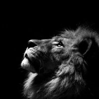 Dilhun (@ilhangultek1) Twitter profile photo