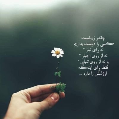 djduskfjffhfij's profile picture. 