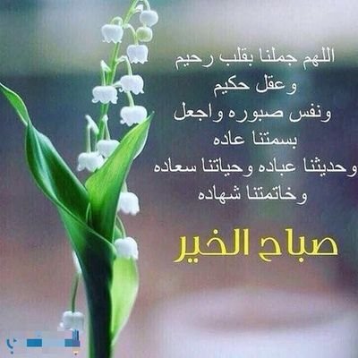 CqWdKsHCVwcLY5J's profile picture. 