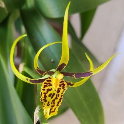 ClwnWrldWatcher's profile picture. We live with misinformation/propaganda, and sheep on all sides. Shared as is, make up your own mind.