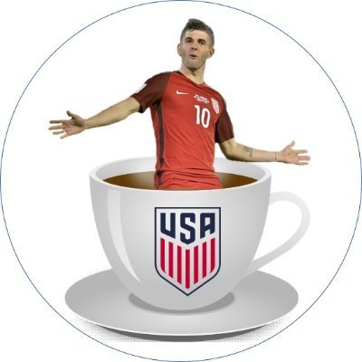 USMNTea Profile Picture