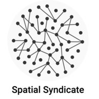 Spatial Syndicate (@spatialsyndica1) 's Twitter Profile