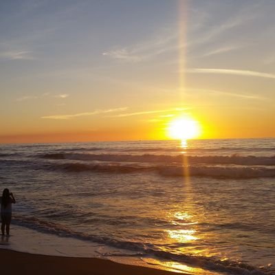 dr_checca's profile picture. PBIS Coordinator, School Psychologist