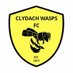 Clydach Wasps (@ClydachWasps) Twitter profile photo