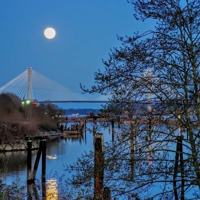 truthswin's profile picture. Free-thinker reign