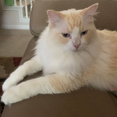 12Building's profile picture. Building 12 Communications is a boutique marketing communications firm specializing in branding, commercialization and digital marketing.