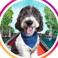 MooseTheCreekDog(@creek_moose) 's Twitter Profile Photo